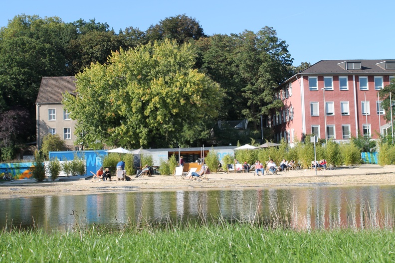 mäßig besuchte Bleichwiese - IMG_6539.JPG IMG_6539.JPG