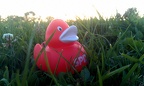 Ente