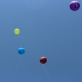 bunte Luftballons fliegen