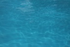 Swimmingpool 1